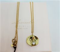 Collana Elecicale Gioielli Donna in Argento Zircone CLED29-2 - CLED29-2